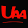 UAA小说
